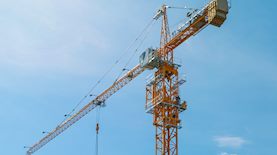 צילום: shutterstock